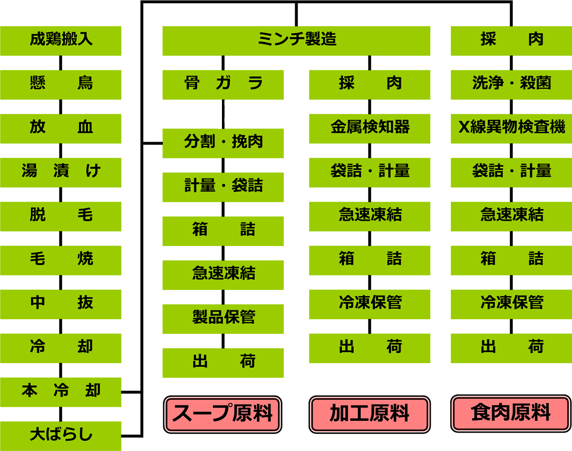 製造工程